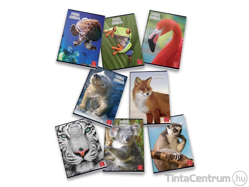 Füzet, tűzött, A4, vonalas, 42lap, PIGNA "Animal"