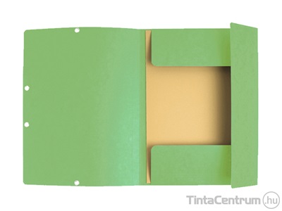 Gumis mappa, A4, prespán, EXACOMPTA, világoszöld