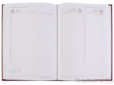 Határidőnapló, agenda, napi, A5, 150x213mm, VICTORIA "Chrono", bordó (2026 évi)