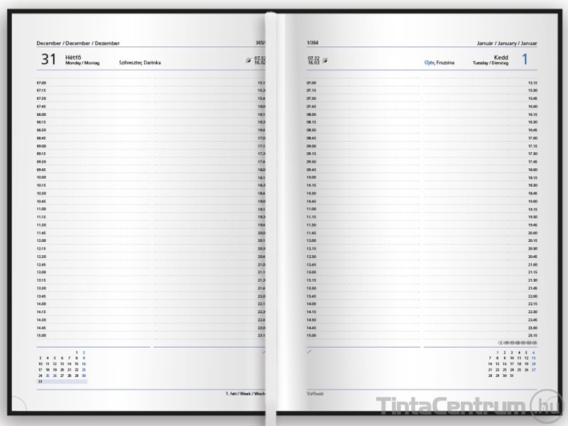 Határidőnapló, agenda, napi, B5, 170x250mm, TOPTIMER "Traditional", kék (2025 évi)