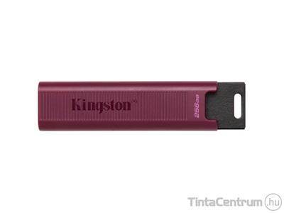 KINGSTON pendrive, 256GB, USB 3.2, "DT Max", bordó