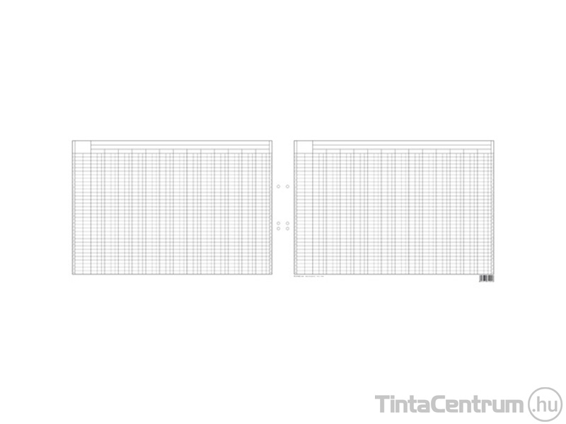 Könyvelési statisztikai gyüjtőív szabadlap, 420x295mm, B.13-42