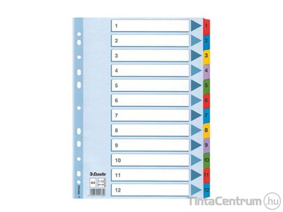 Regiszter, laminált karton, A4, 1-12-ig, ESSELTE "Mylar"