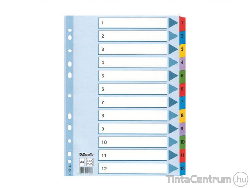 Regiszter, laminált karton, A4, 1-12-ig, ESSELTE "Mylar"