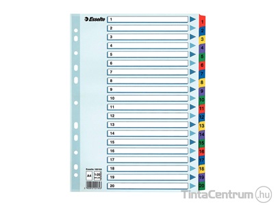 Regiszter, laminált karton, A4, 1-20-ig, ESSELTE "Mylar"