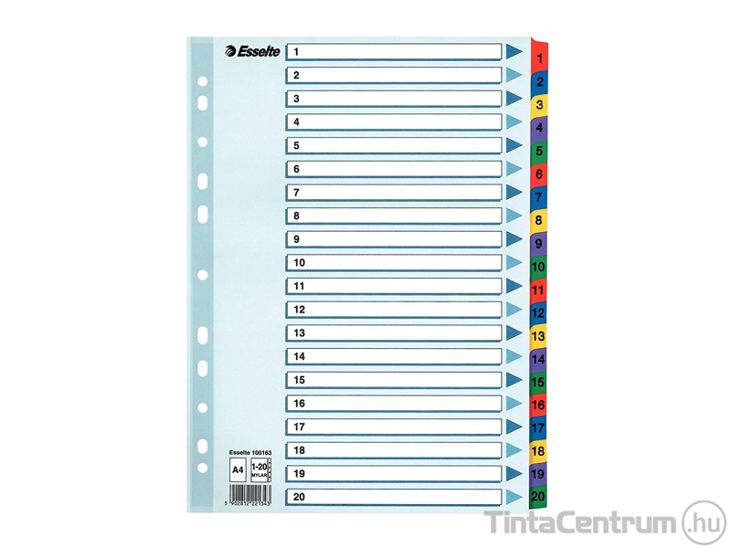 Regiszter, laminált karton, A4, 1-20-ig, ESSELTE "Mylar"