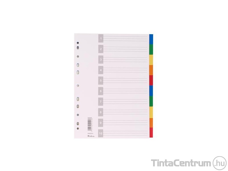 Regiszter, műanyag, A4, 10 részes, VICTORIA, színes