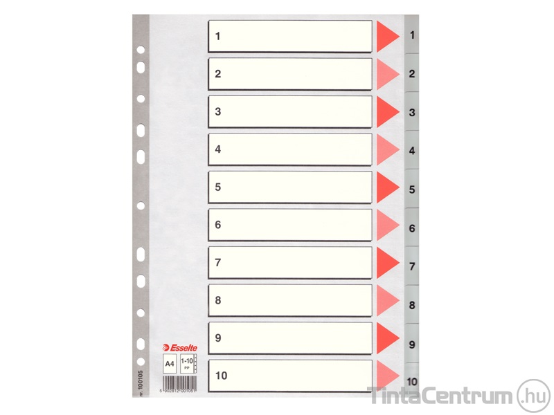 Regiszter, műanyag, A4, 1-10-ig, ESSELTE, szürke