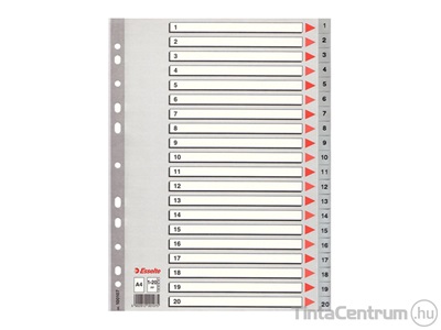 Regiszter, műanyag, A4, 1-20-ig, ESSELTE, szürke