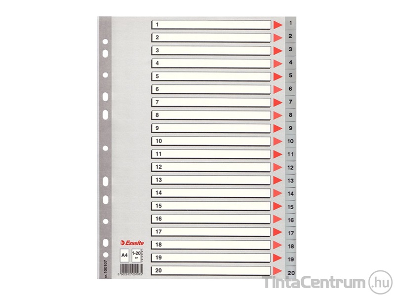 Regiszter, műanyag, A4, 1-20-ig, ESSELTE, szürke