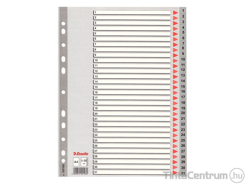 Regiszter, műanyag, A4, 1-31-ig, ESSELTE, szürke