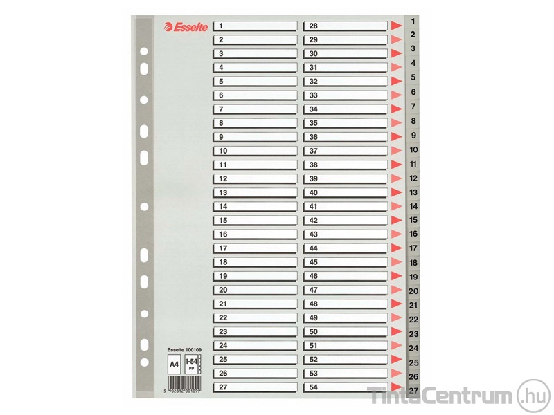 Regiszter, műanyag, A4, 1-54-ig, ESSELTE, szürke