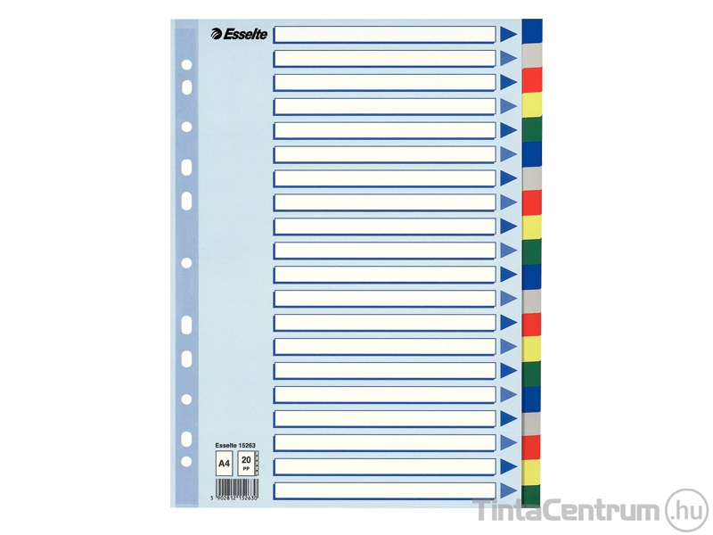 Regiszter, műanyag, A4, 20 részes, ESSELTE, színes