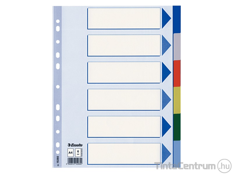 Regiszter, műanyag, A4, 6 részes, ESSELTE, színes