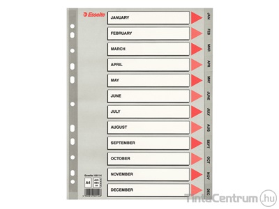 Regiszter, műanyag, A4, Jan-Dec-ig, ESSELTE, szürke