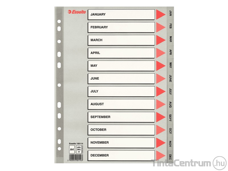 Regiszter, műanyag, A4, Jan-Dec-ig, ESSELTE, szürke