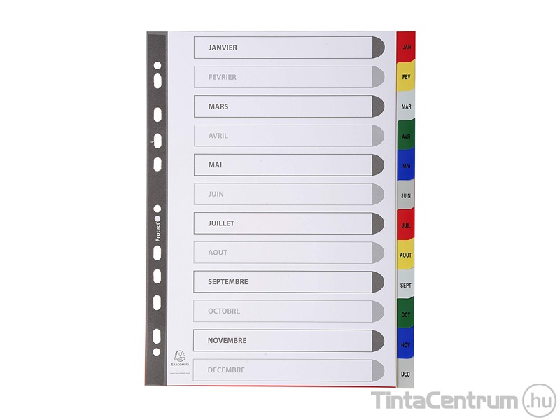 Regiszter, műanyag, A4, Jan-Dec-ig, EXACOMPTA, színes