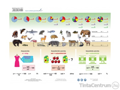 Tanulói munkalap, A4, STIEFEL "Százalékszámítás duo"